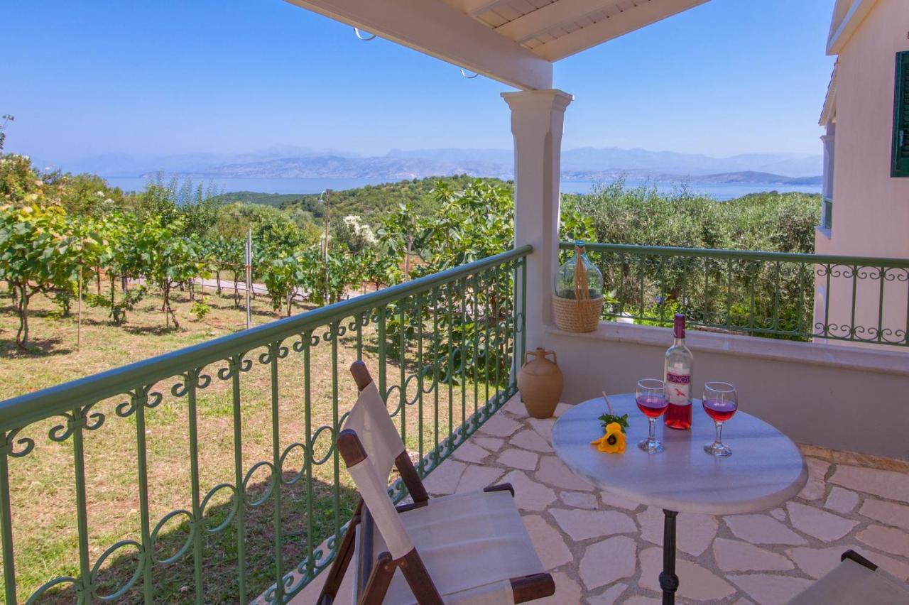 Villa Ftelias By Villa Plus アギオス・ステファノス エクステリア 写真